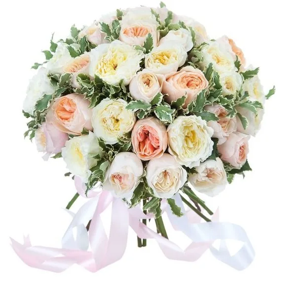 Розы пионовидные